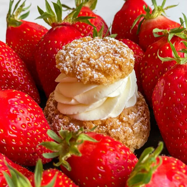 🍓 À vos fraisiers ! 🍓

C'est la dernière semaine pour déguster notre chou du moment, le Ty Fraisier ! ☀️

Laissez-vous tenter par sa chantilly mascarpone et son concassé de fraises de Plougastel...

Disponible dans nos deux boutiques à Rennes et sur commande 😝

📍Ty Chou Centre Ville 
8 rue du Vau Saint-Germain 35000 Rennes
02.99.78.20.20

📍Ty Chou Gare Sud
3 rue Bernard Palissy 35000 Rennes 
(à l'angle de la rue Ginguené)
02.23.61.26.52

A bientôt chez Ty Chou !🤩

#chou #chouquette #tychou #tychourennes #choualacreme #pateachoux #patisserie #patisseriefrancaise #artisanat #patisseriefine #vanille #chantilly #rennes #gourmandise #rennesmaville #rennesmetropole #bzh #instafood